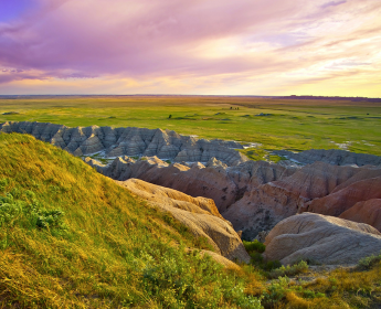 South Dakota Apply Image